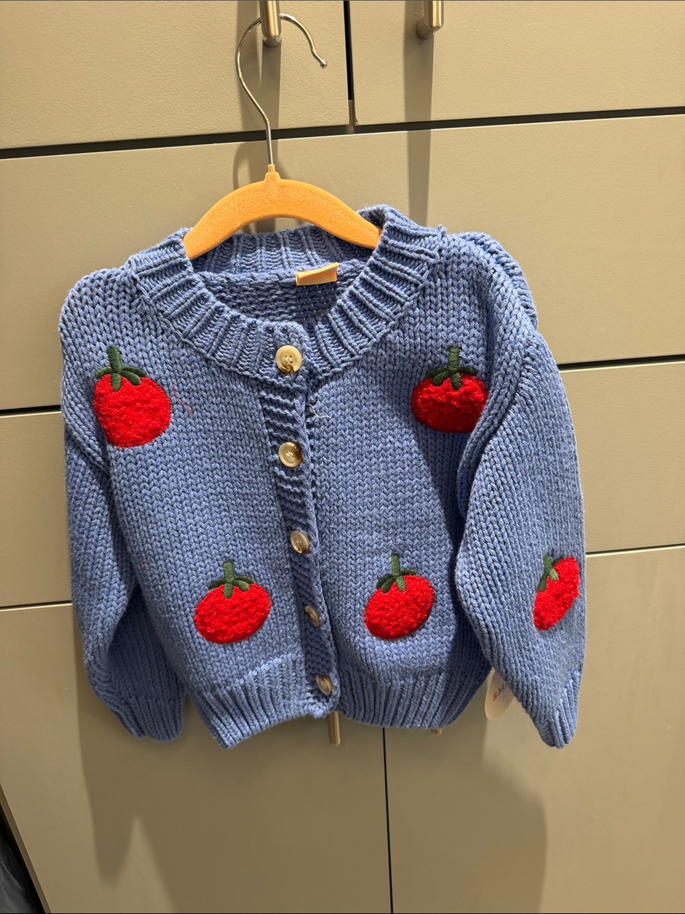 Kids Blue Knit Cardigan with Red Tomato Appliqués 2T